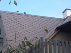 DSCF2625