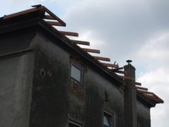DSCF4134