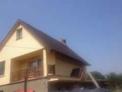 IMG_0557
